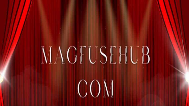 magfusehub com